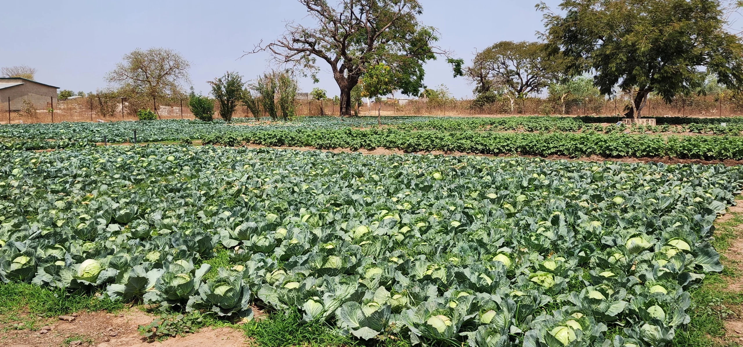 Read more about the article P2-P2RS : 8 milliards seront déployés en termes d’investissement pour la région de Matam