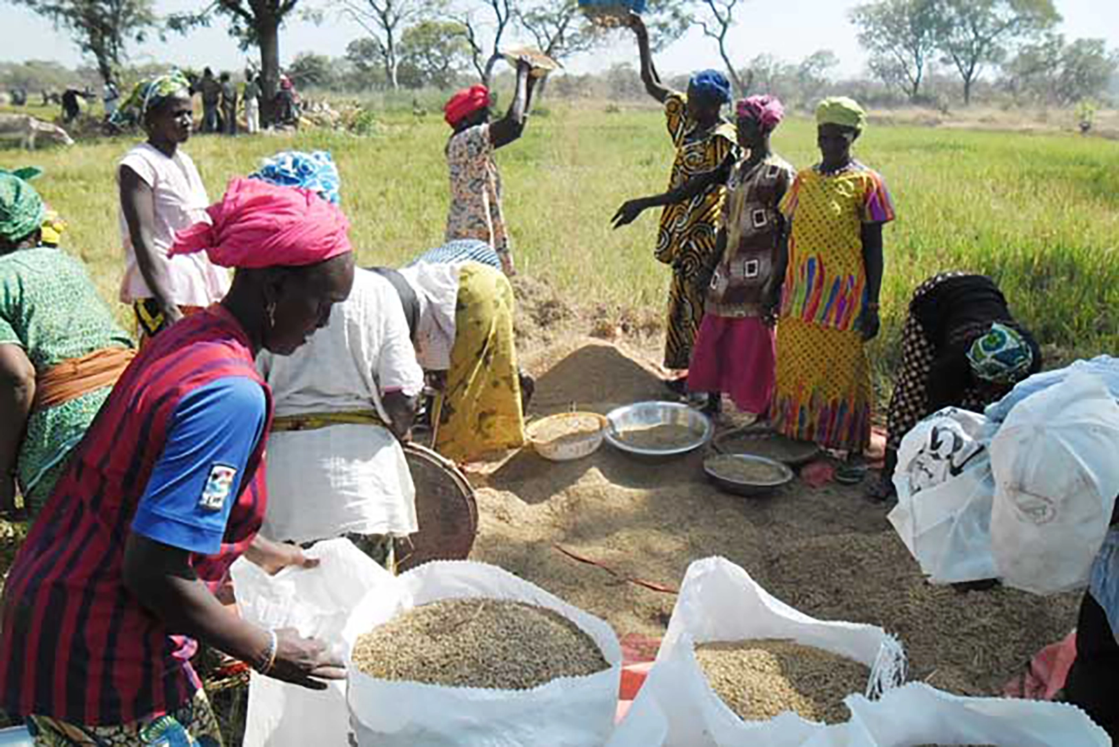 Read more about the article Multinational – P2-P2RS – EER mars 2025 (African Development Bank)